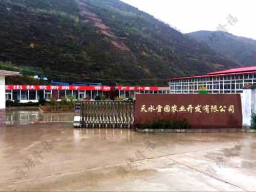 3萬噸雞糞有機(jī)肥