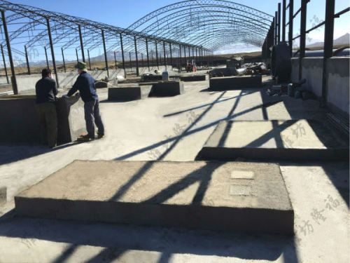 3萬(wàn)噸豬糞有機(jī)肥